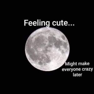 🖤UNLISTED MISC ITEMS🖤